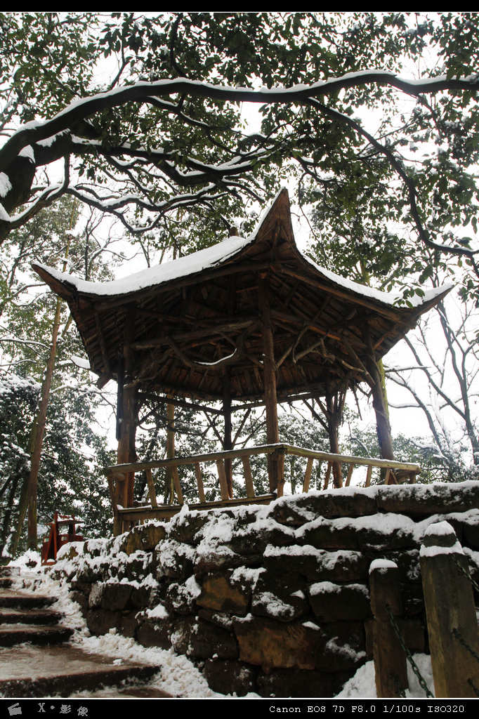 青城山 (16).jpg