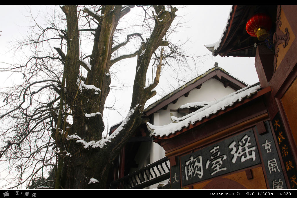 青城山 (17).jpg