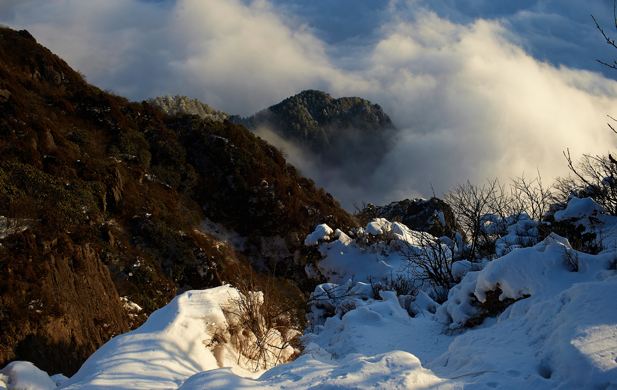 DSC_7019.jpg
