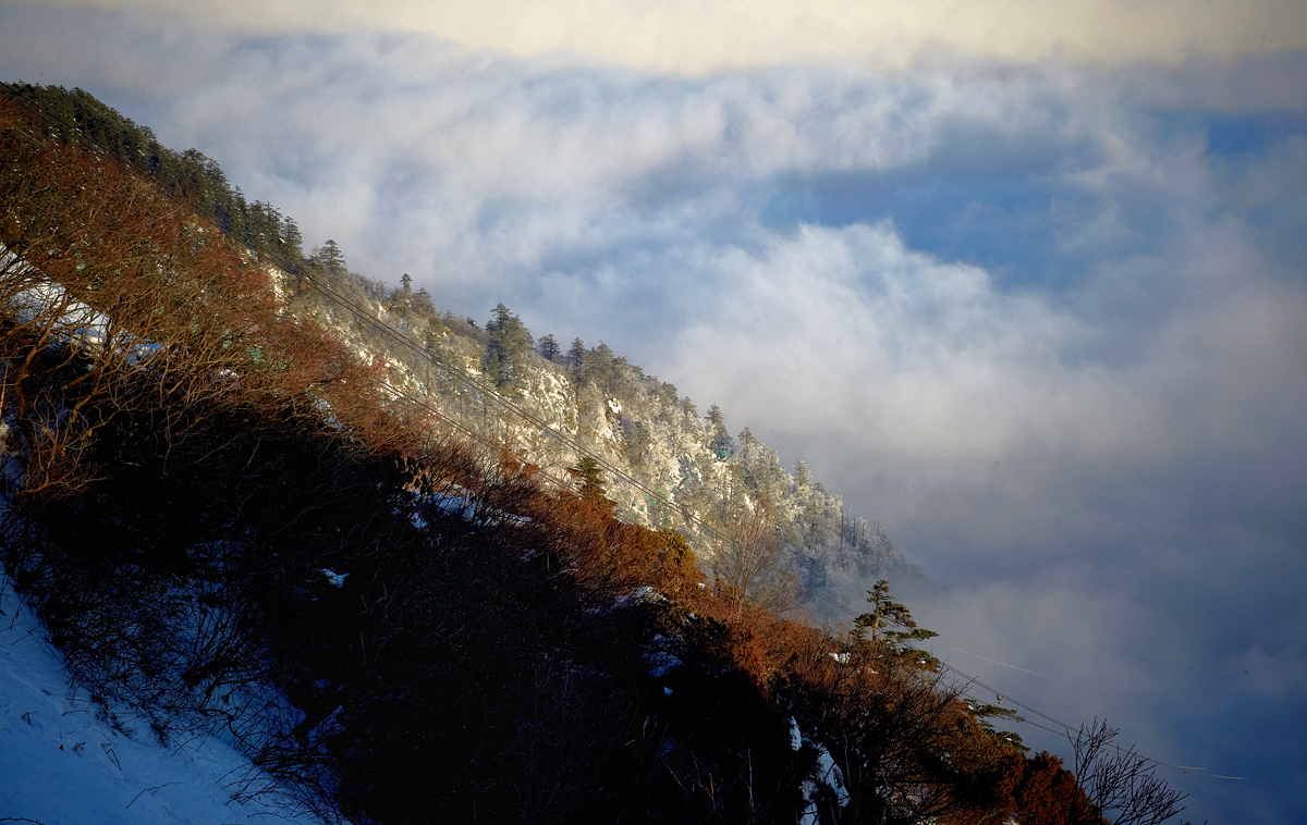 DSC_7035.jpg