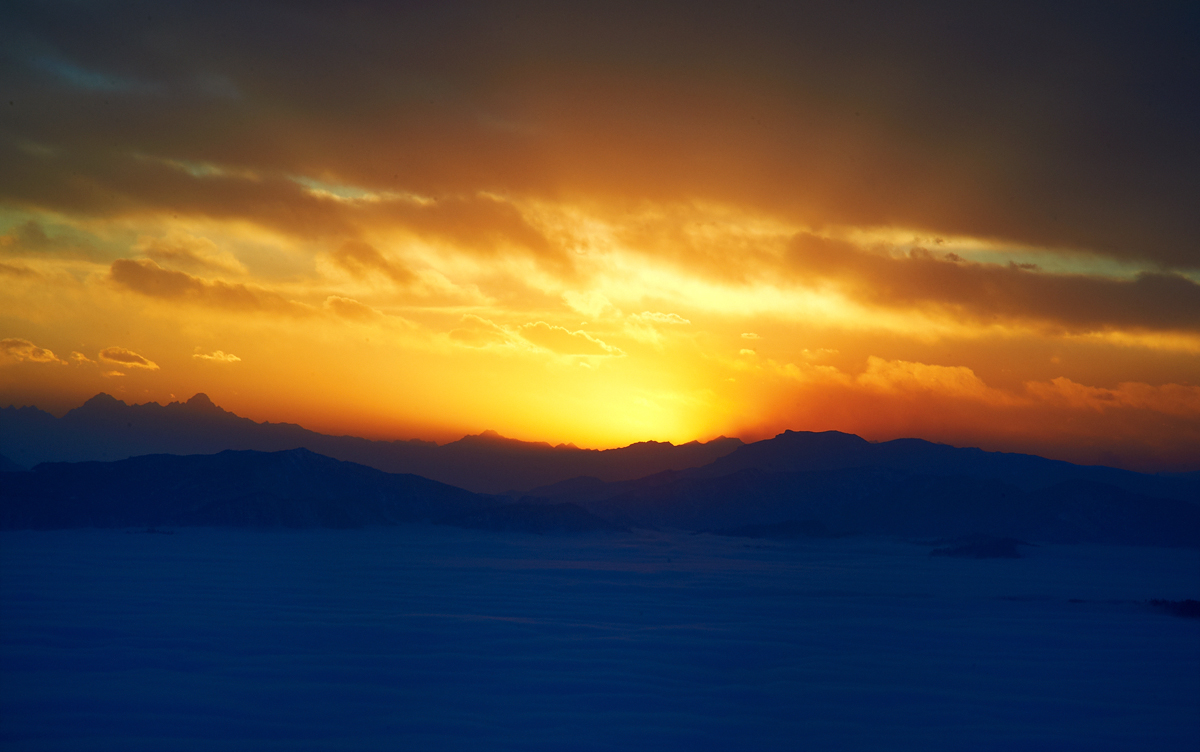 DSC_6817.jpg