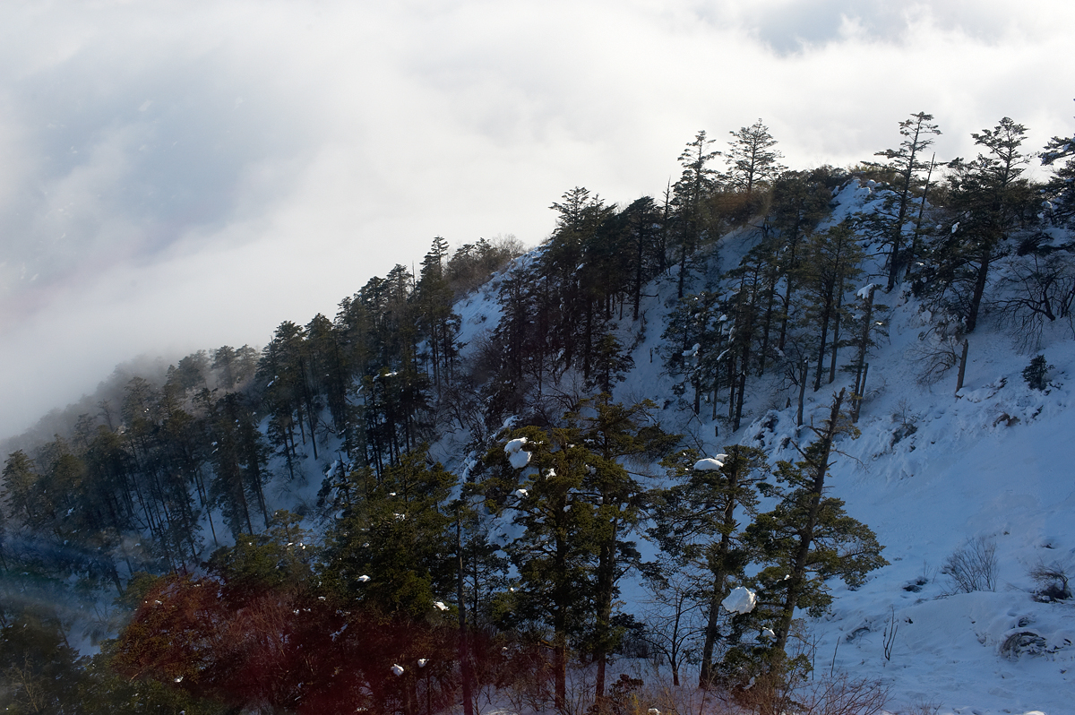 DSC_7046.jpg