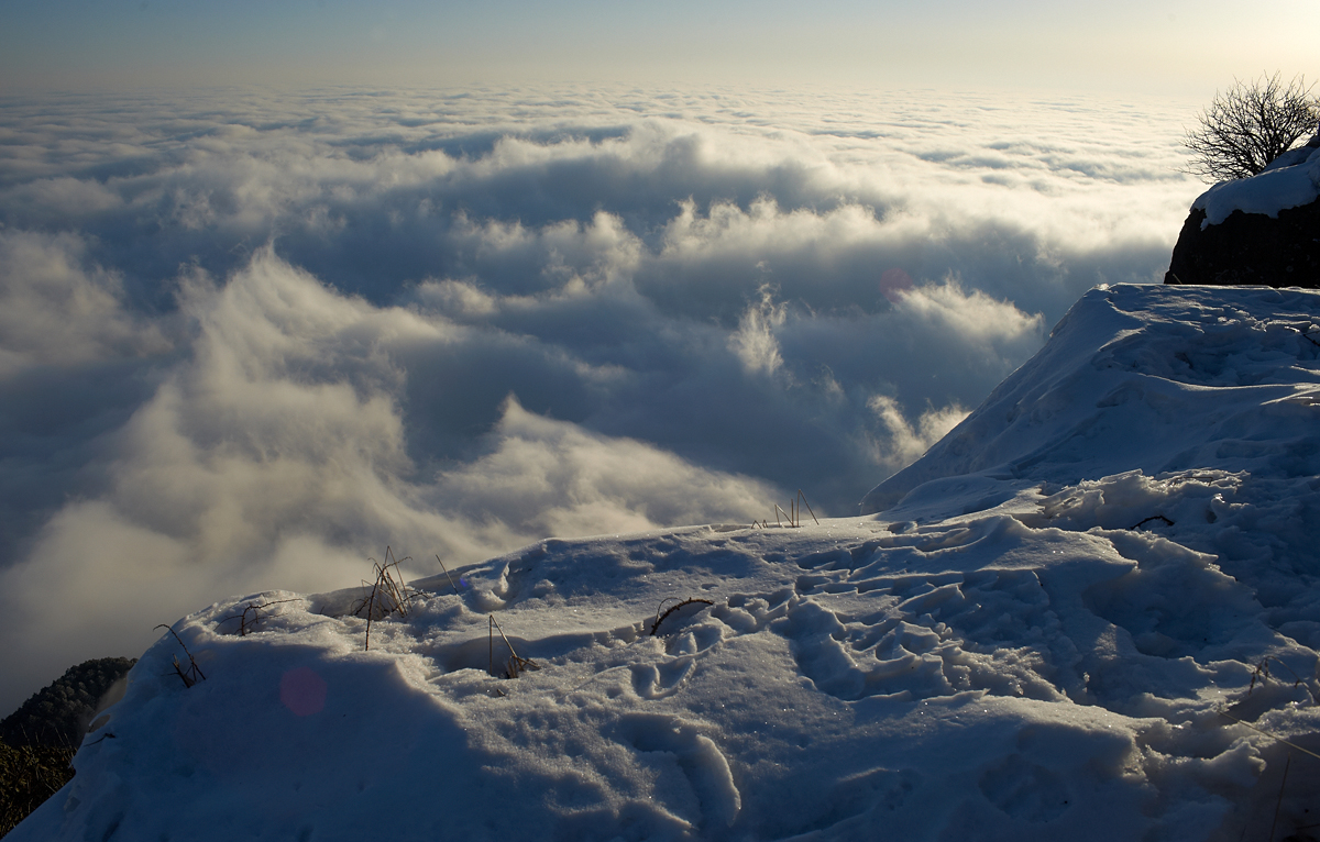 DSC_7022.jpg