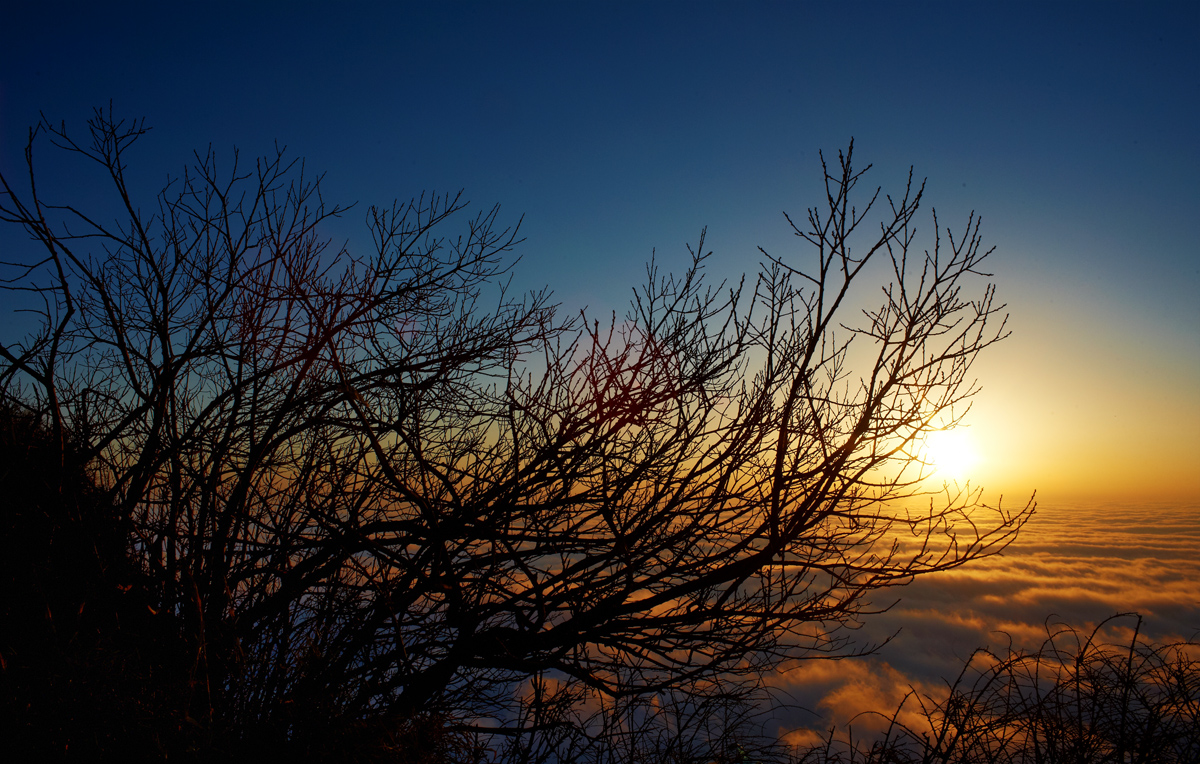 DSC_6972.jpg