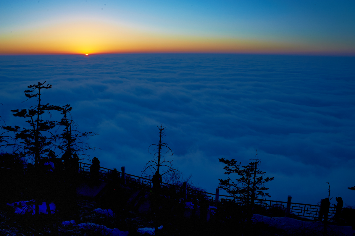 DSC_6943.jpg