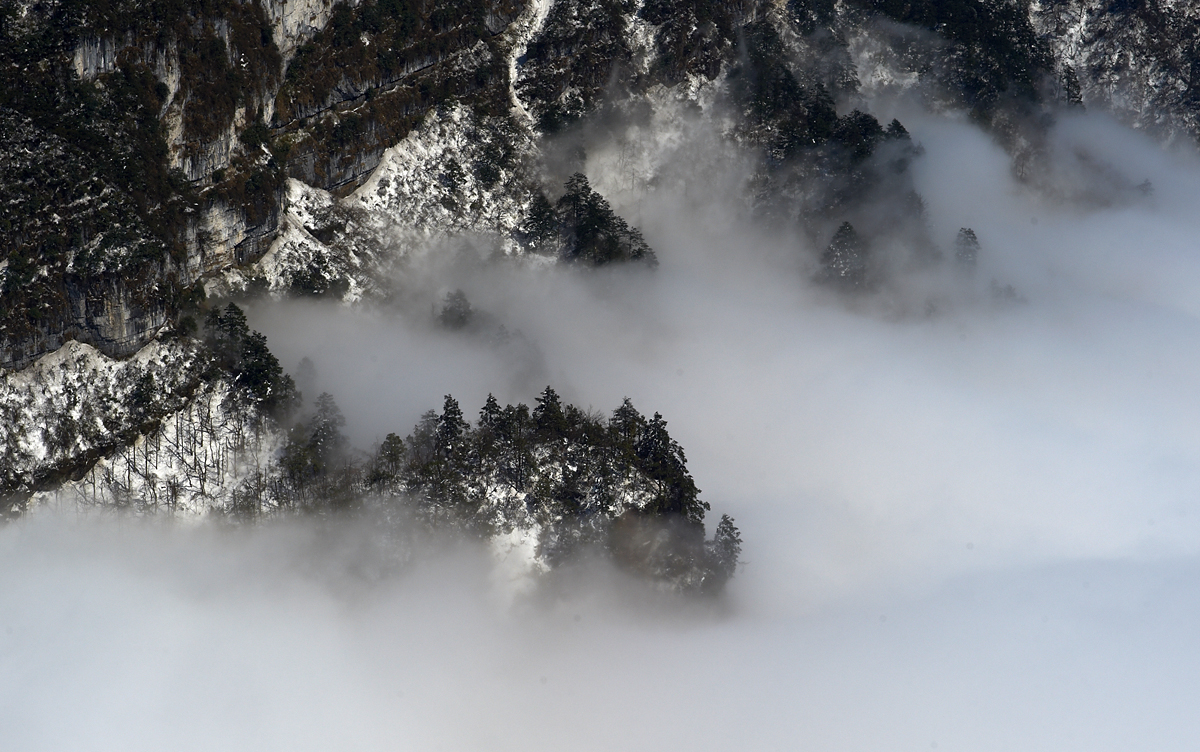 DSC_6455.jpg