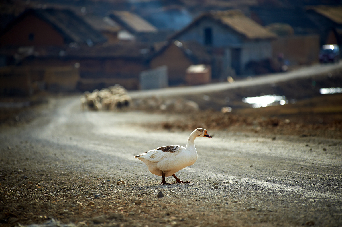 DSC_7875.jpg