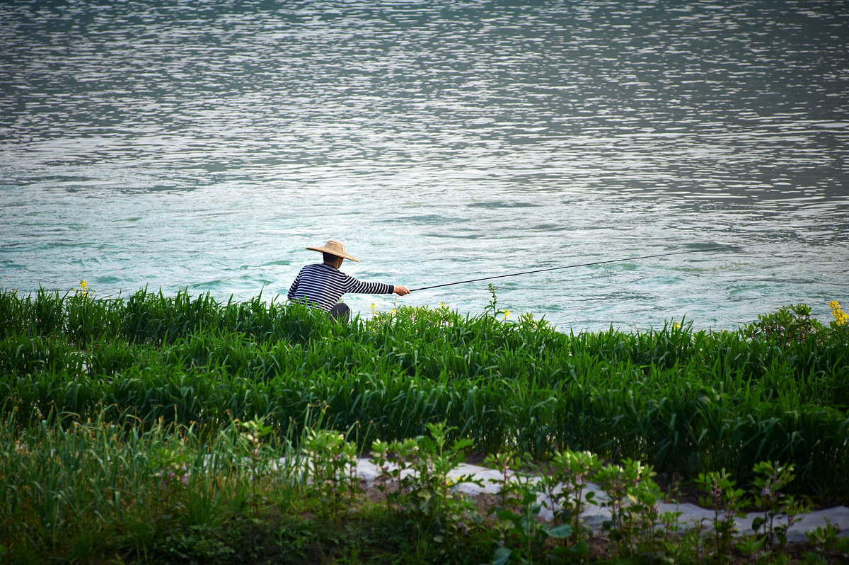 DSC_8174.jpg