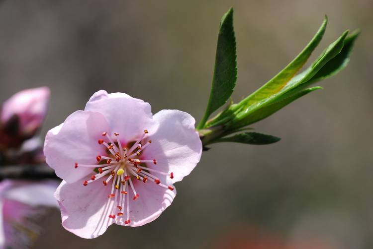 DSC_0065.jpg