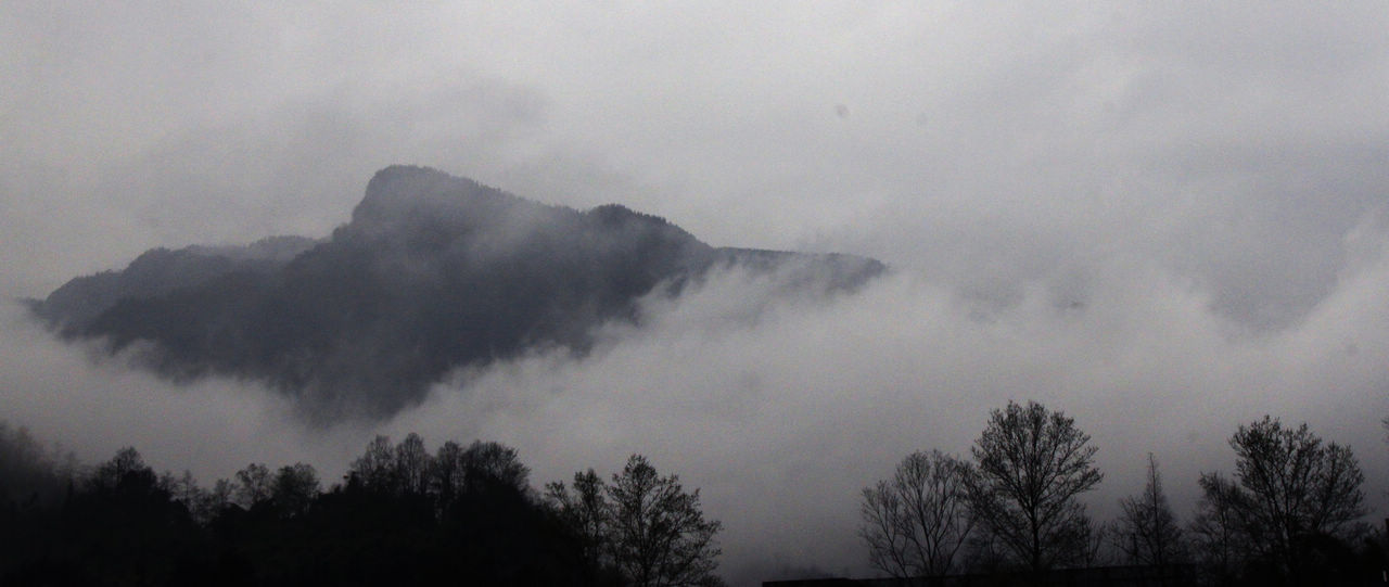 那山，那树和那云.jpg