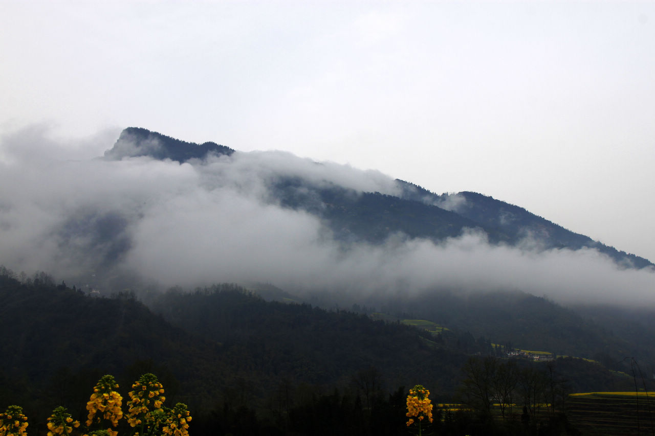 云遮雾绕周公山.jpg