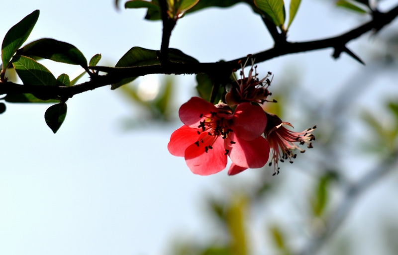 DSC_0253.jpg