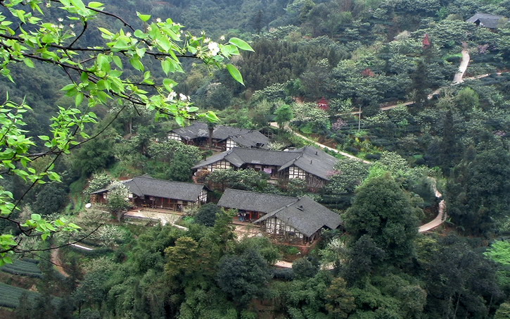 梨花飘落山野家.jpg
