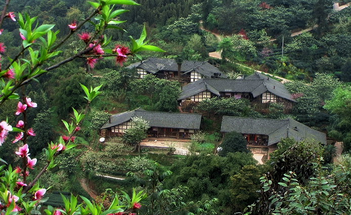 桃园山中人家.jpg
