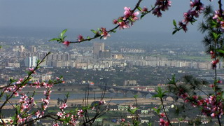 副本桃园的夹江3.jpg