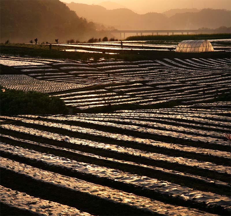 未标题_全景图1 副本 4.jpg