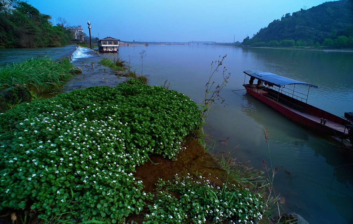 DSC_83331.jpg