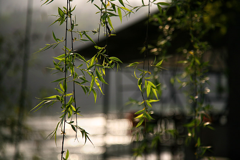 IMG_6822 副本.jpg