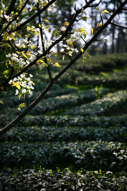 IMG_5389 副本.jpg