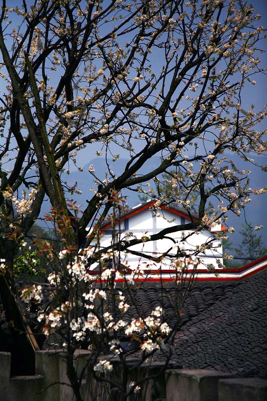 IMG_5662 副本.jpg