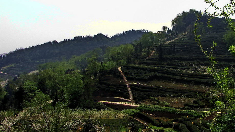 近仰黑包山.JPG