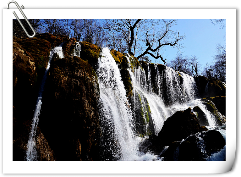 DSC_1835.jpg
