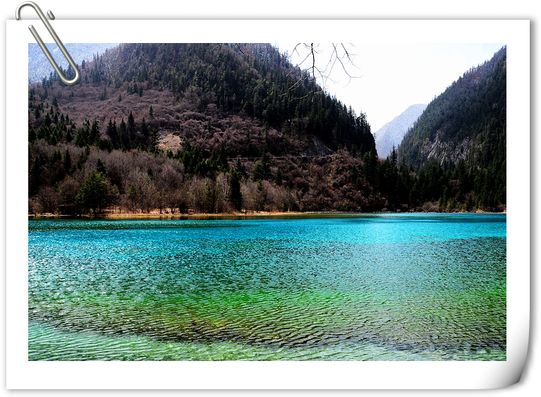 DSC_1688.jpg