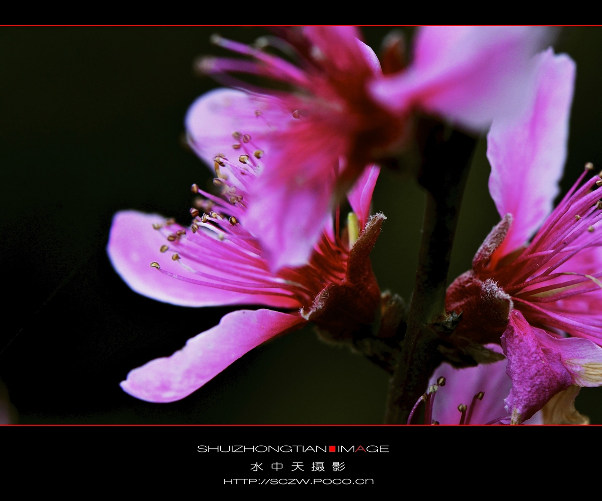 DSC_3631.jpg
