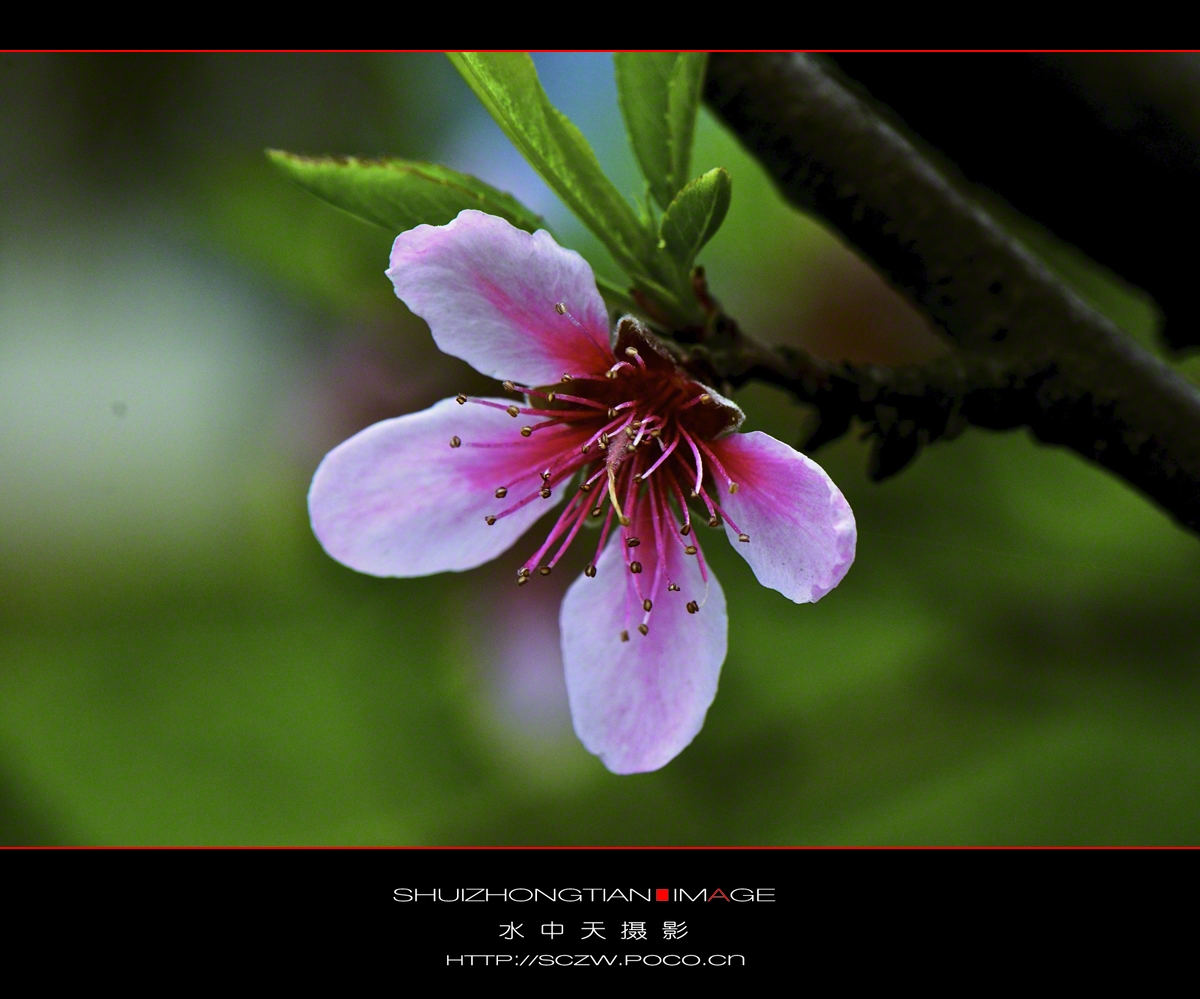 DSC_3636.jpg