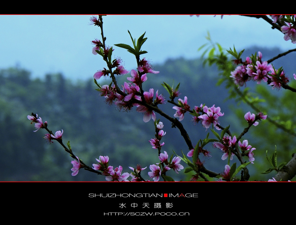 DSC_3640.jpg