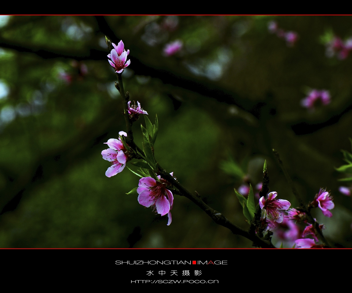 DSC_3641.jpg