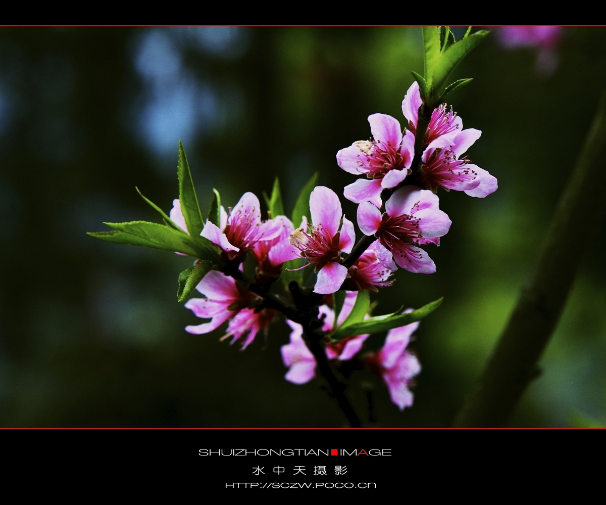 DSC_3647.jpg