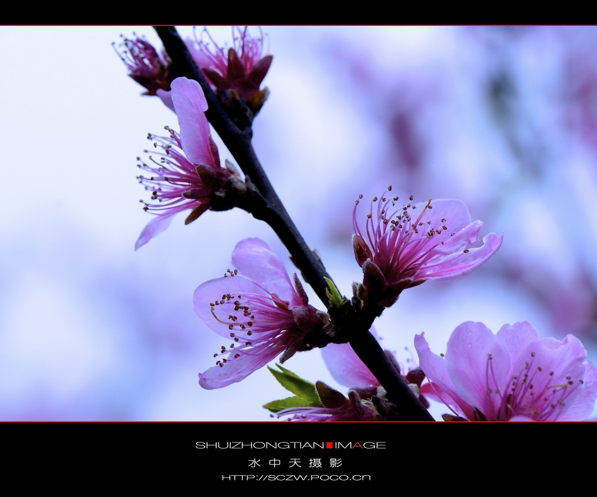 DSC_3651.jpg