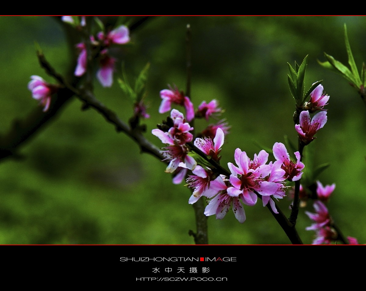 DSC_3652.jpg