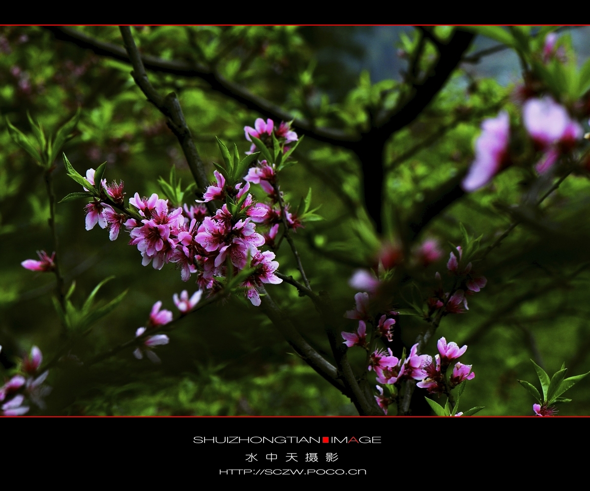DSC_3654.jpg