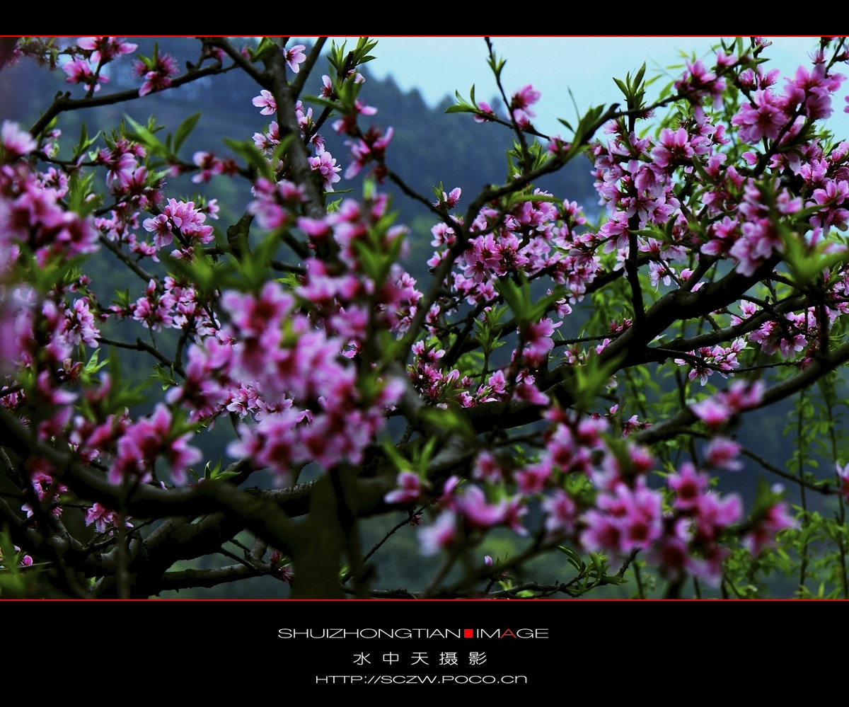 DSC_3656.jpg