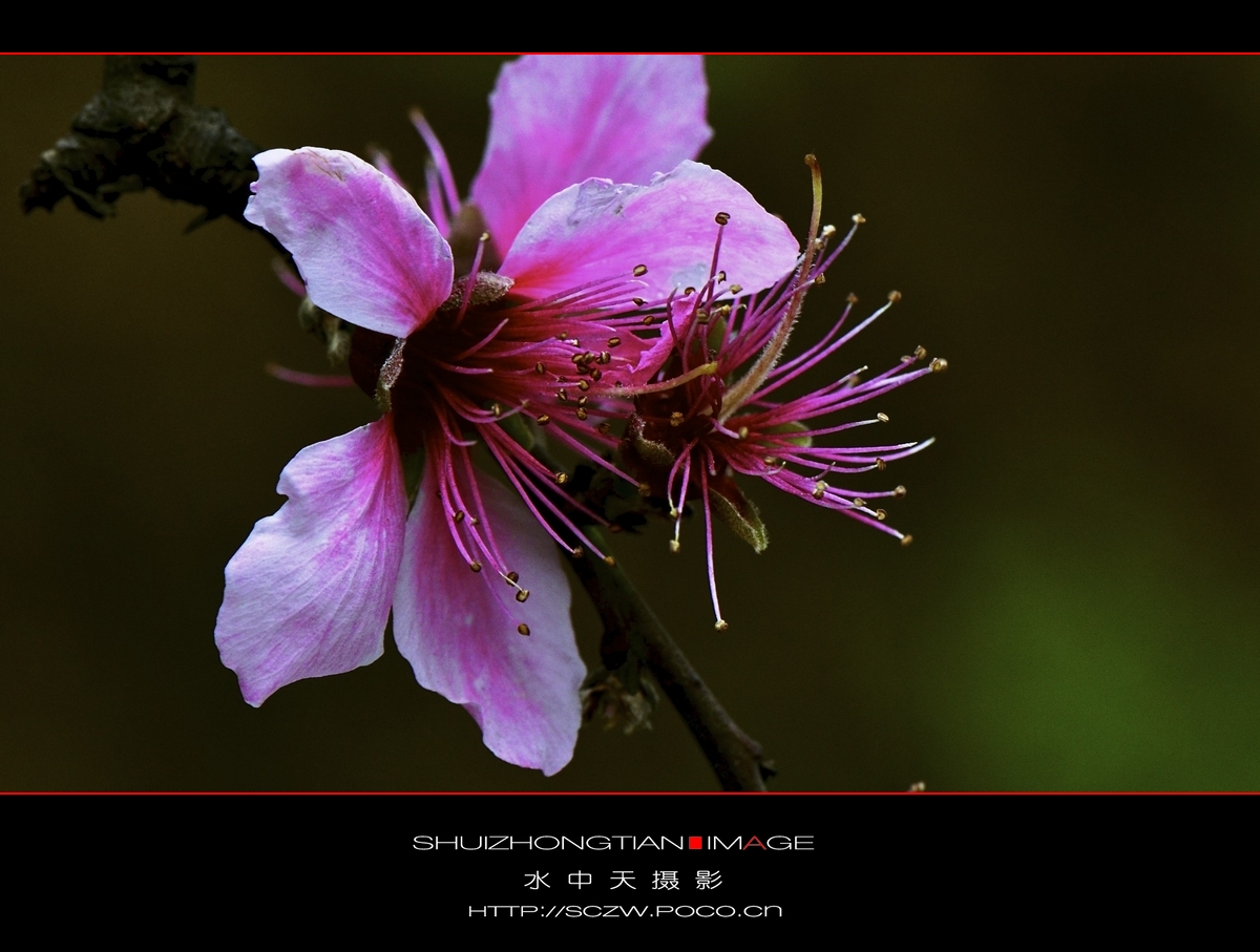 DSC_3662.jpg