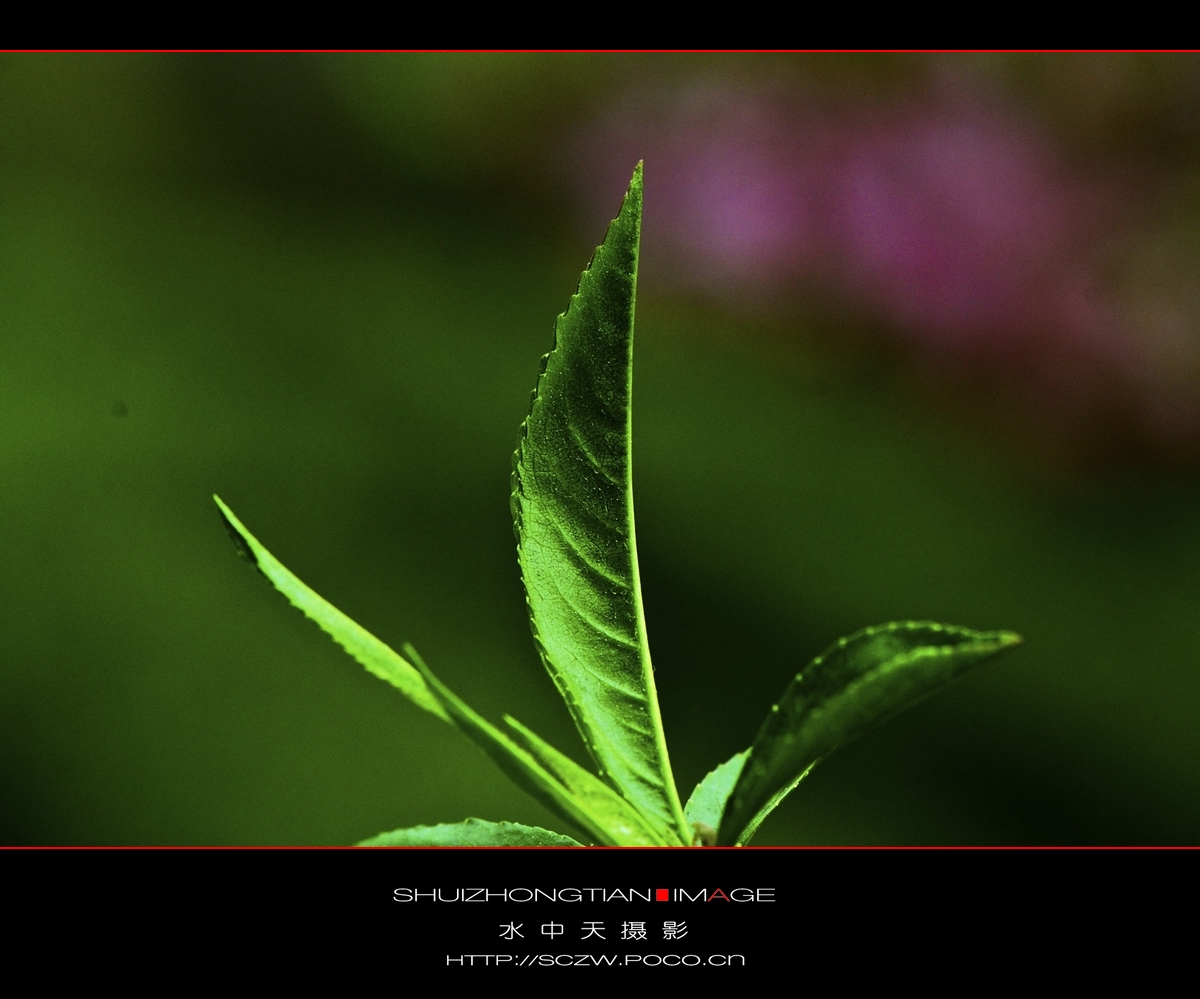 DSC_3664.jpg