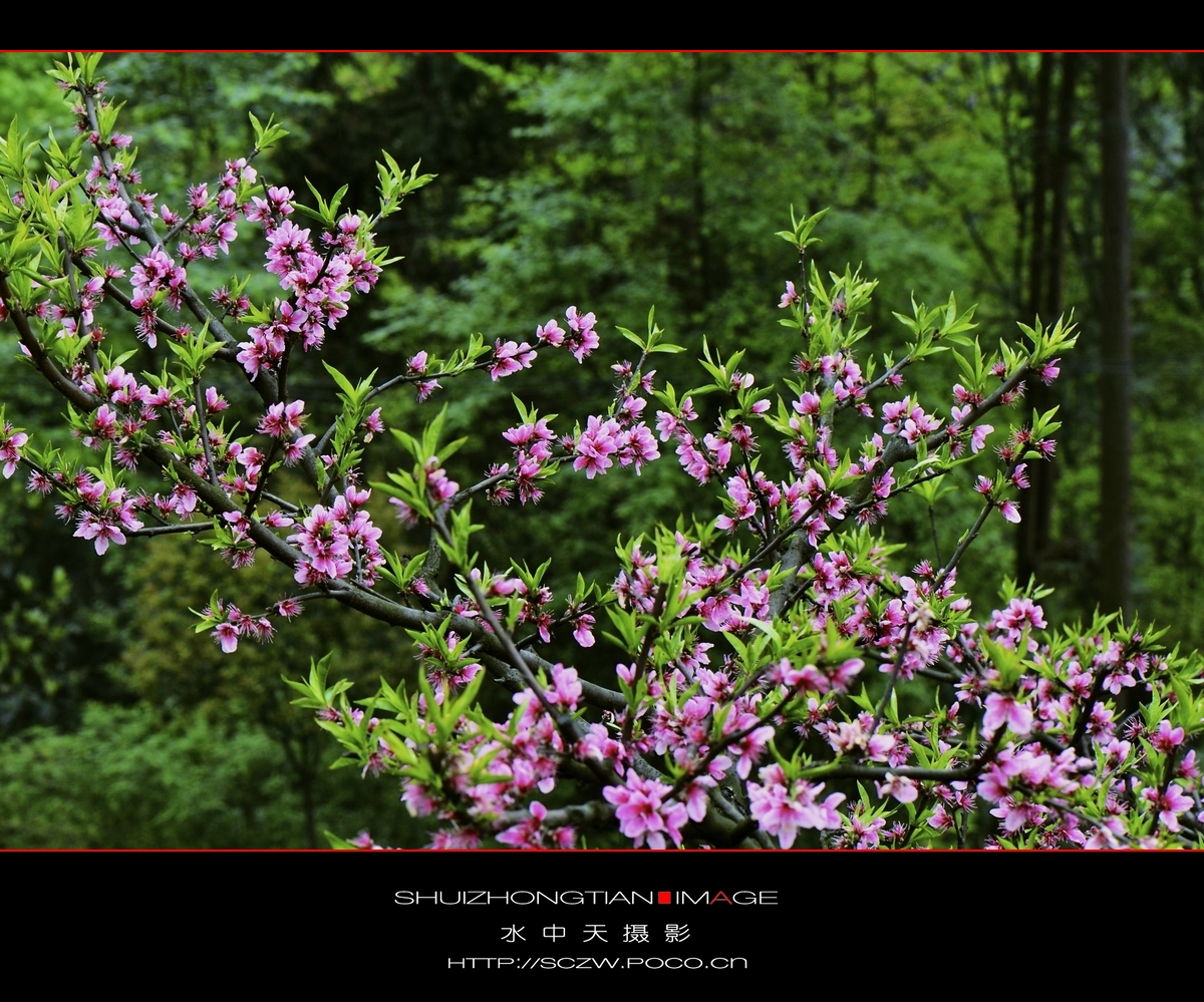 DSC_3665.jpg