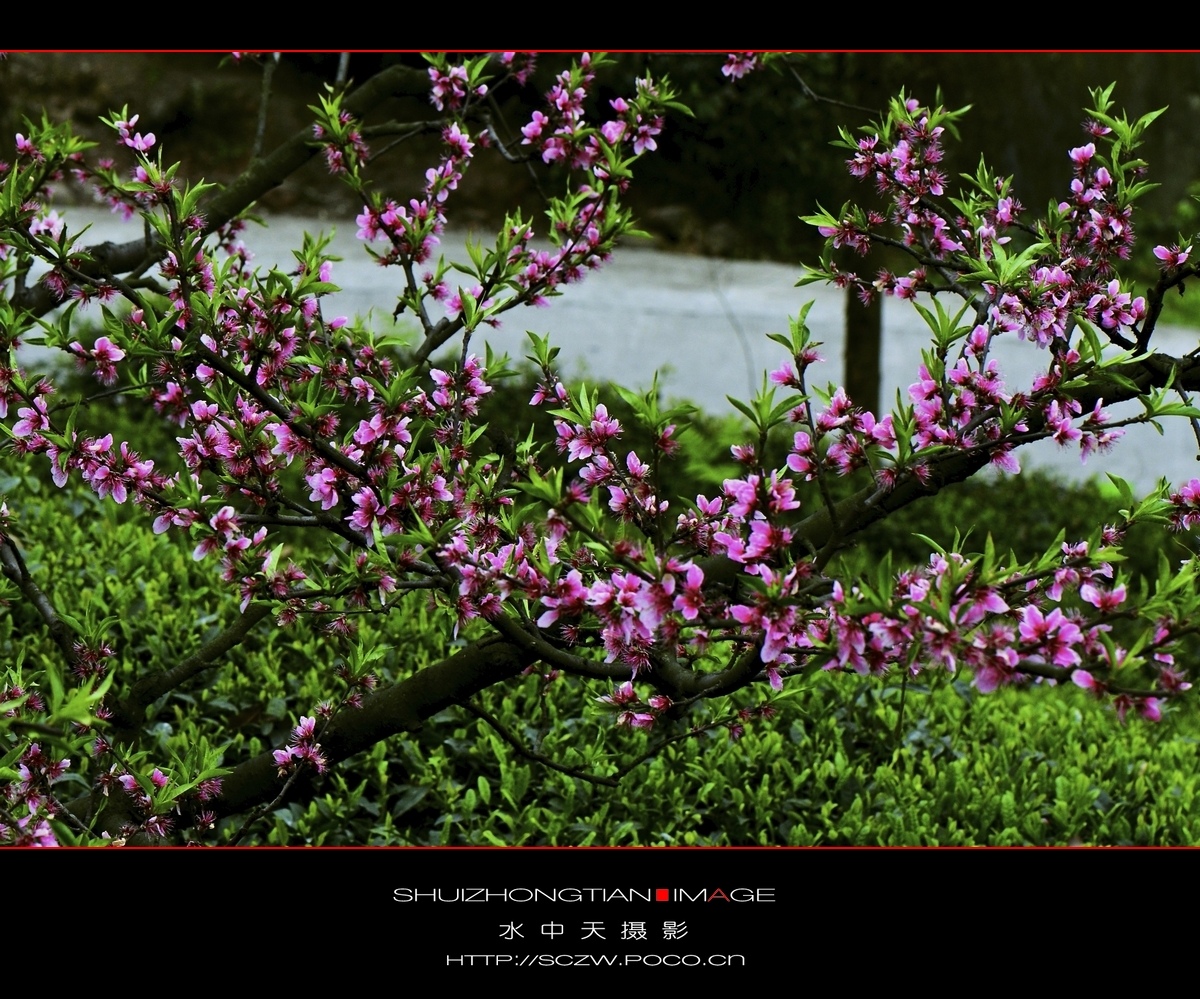 DSC_3669.jpg