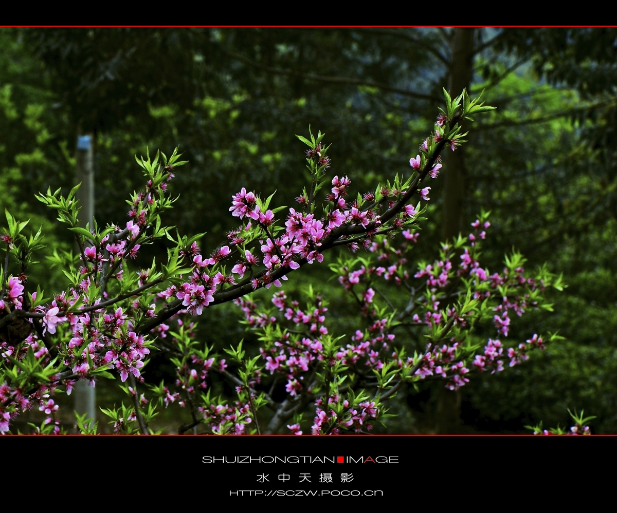 DSC_3671.jpg