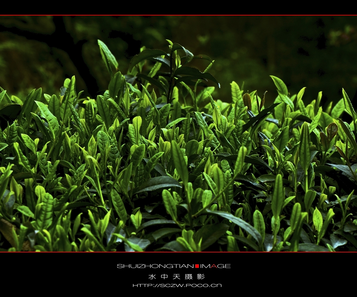 DSC_3673.jpg