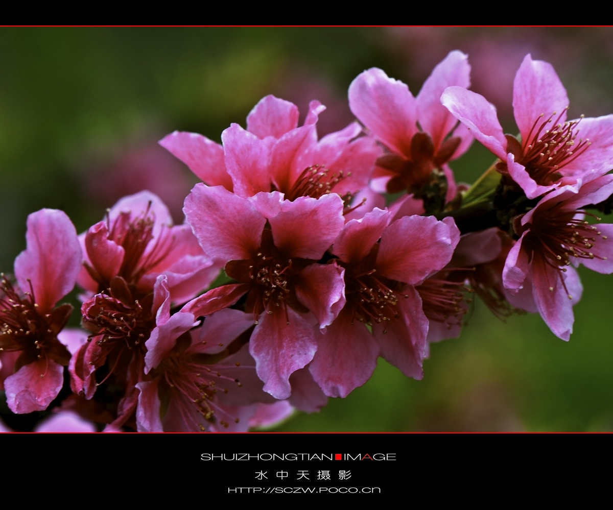 DSC_3794.jpg