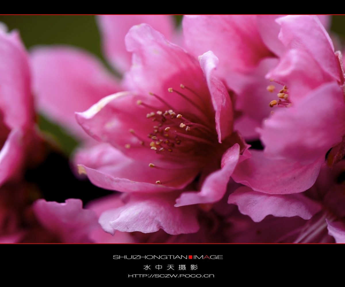DSC_3809.jpg