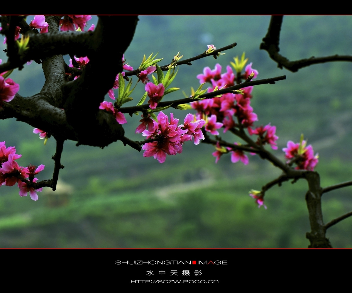 DSC_3813.jpg