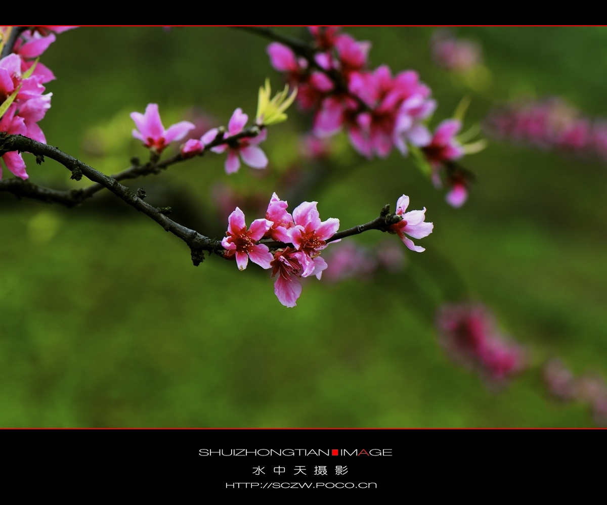 DSC_3823.jpg