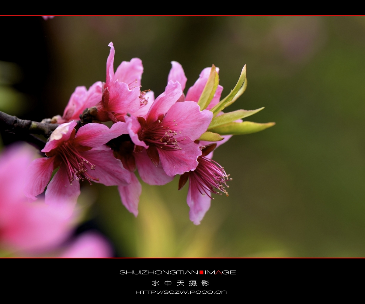 DSC_3825.jpg