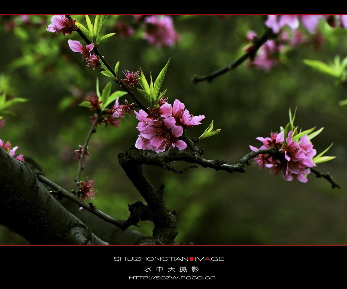 DSC_3835.jpg