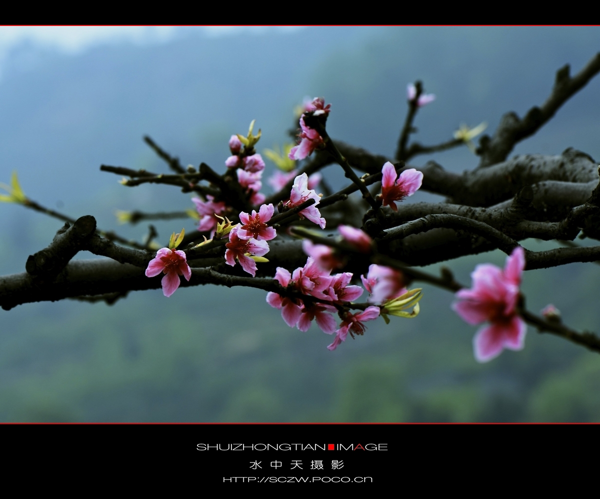 DSC_3846.jpg