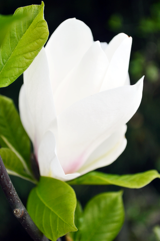 DSC_1211_副本.jpg